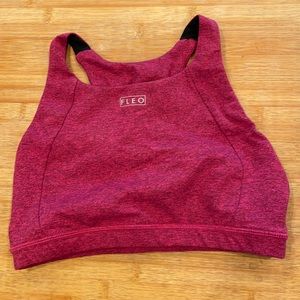 Plum cherry Jourdaine